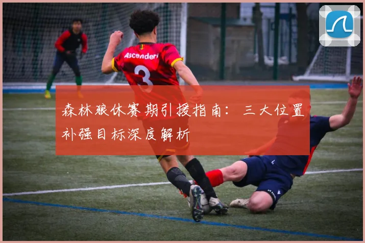 森林狼休赛期引援指南：三大位置补强目标深度解析
