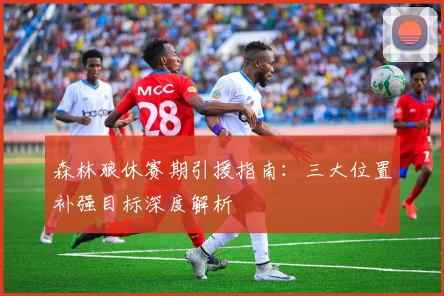 森林狼休赛期引援指南：三大位置补强目标深度解析