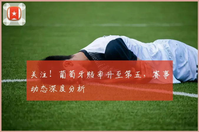 关注!葡萄牙赔率升至第五,赛事动态深度分析